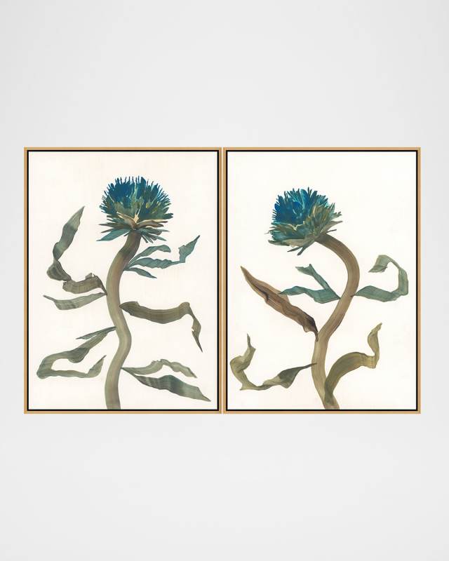 "Prickly Bloom" Set of 2 Framed Giclees by David Erickson, 25.25" x 34.25"
